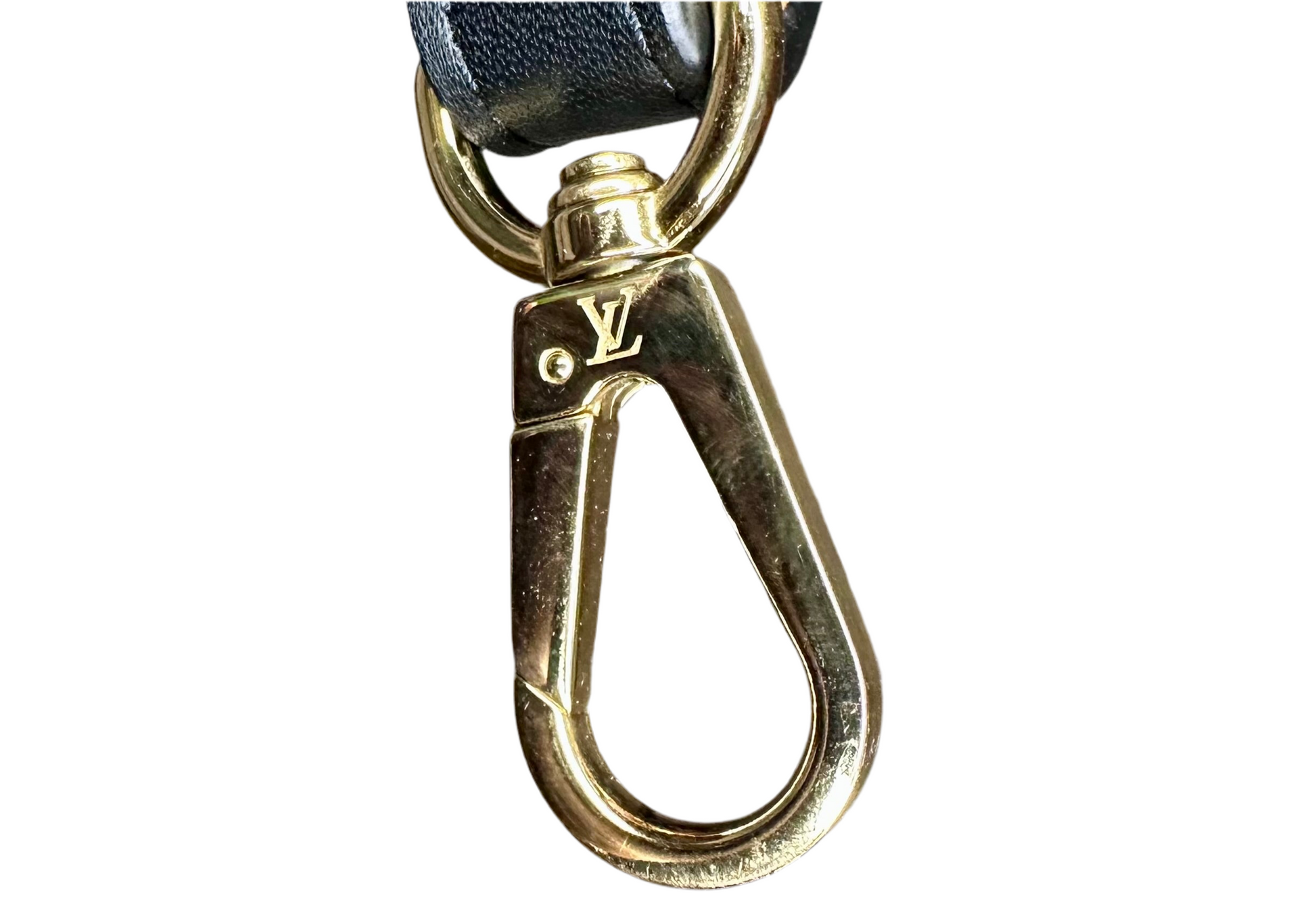 Hardware Detail of Monogram Reverse Strap